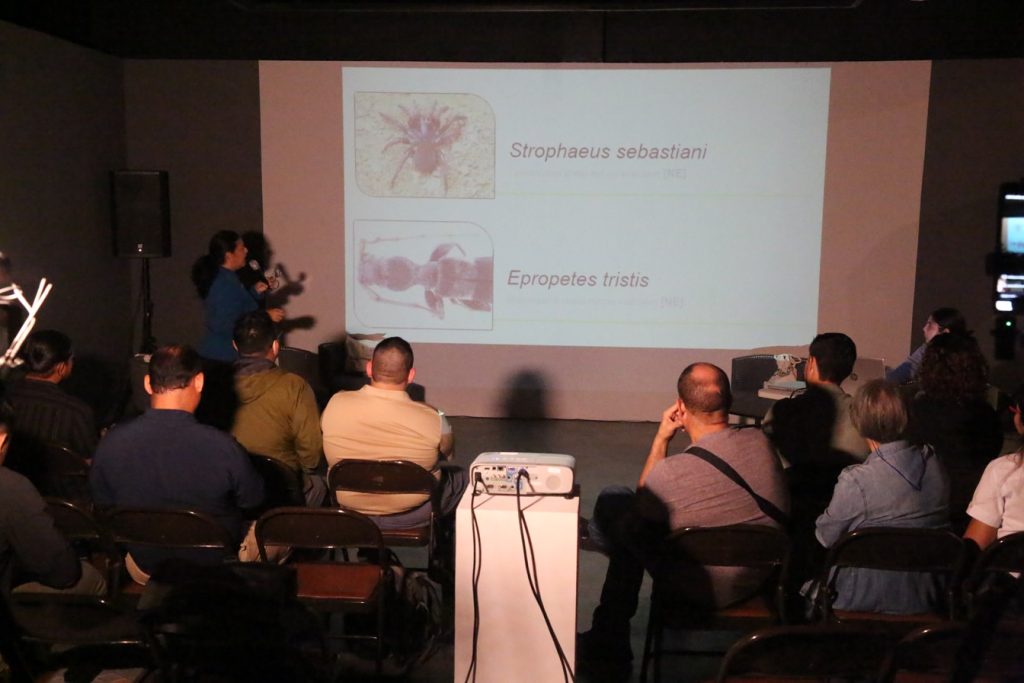 Cafe Cientifico Chucanti 3 1024x683 1