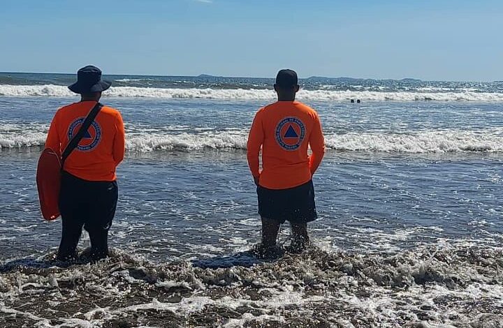 sinaproces 720x470 1