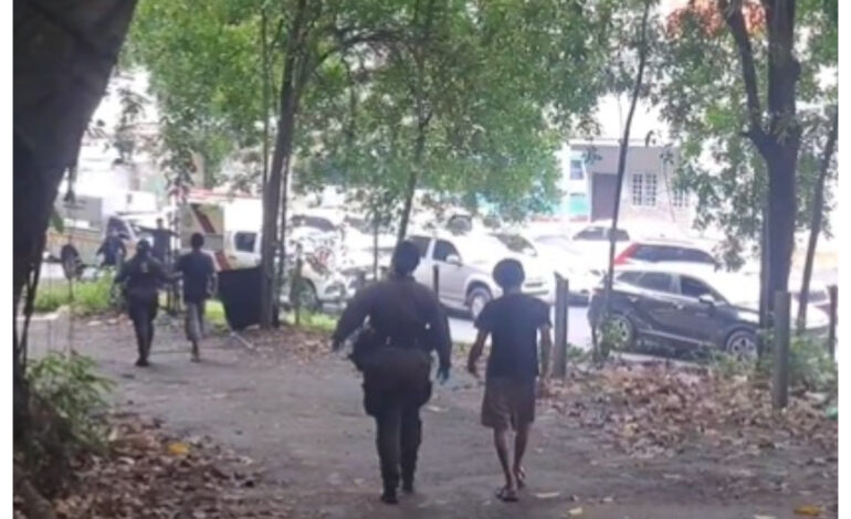 municipiossss 770x470 1