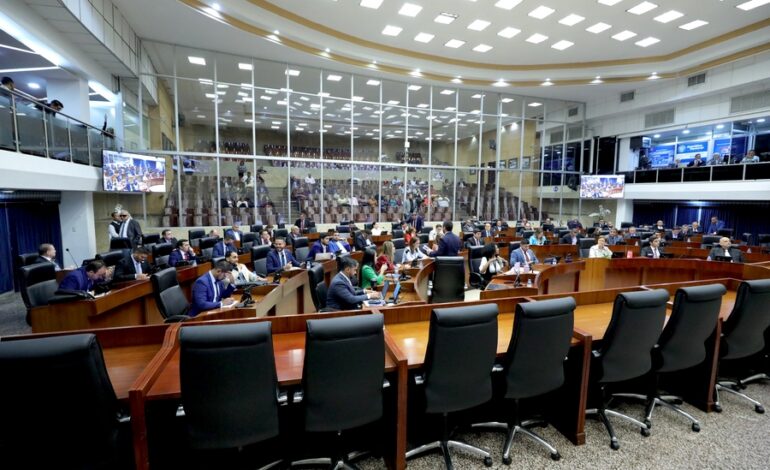 publicacion 338 3 770x470 1