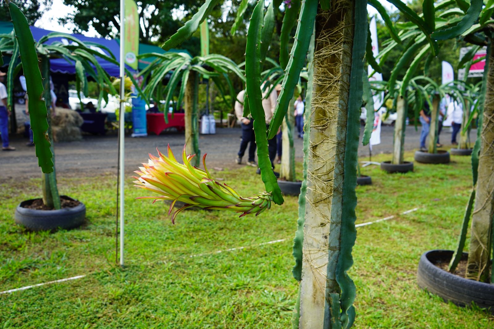 WhatsApp Image 2024 08 27 at 3.45.14 PM