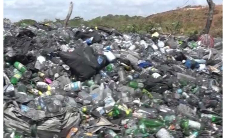 clnadenstino 770x470 1