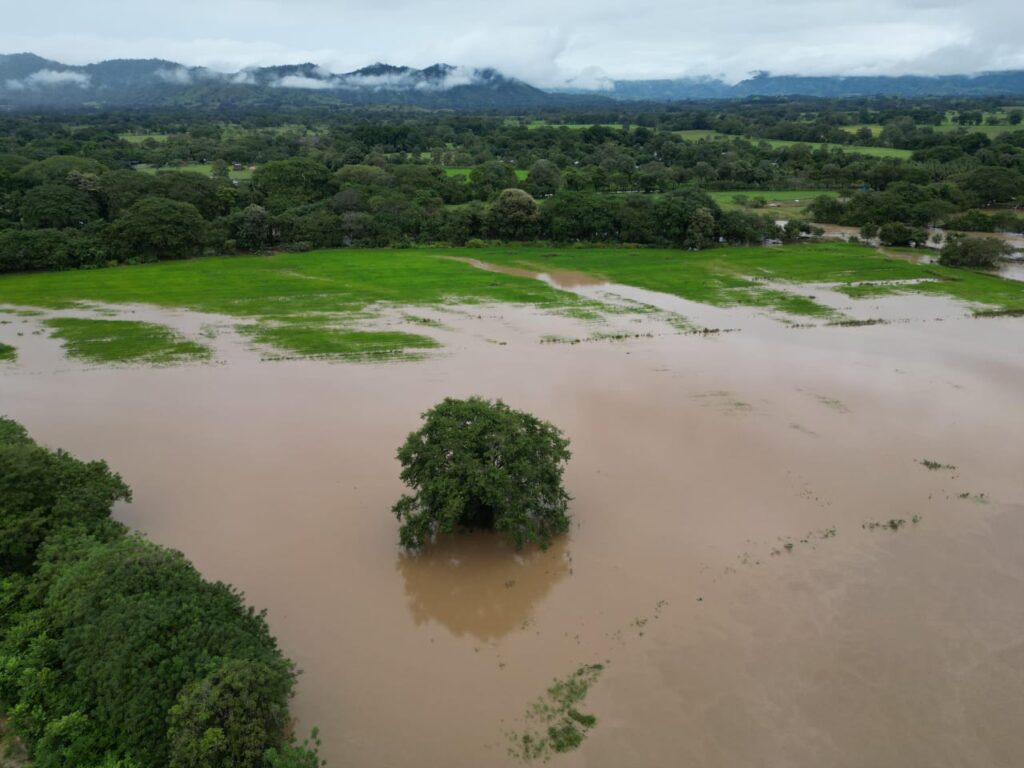 WhatsApp Image 2024 11 06 at 3.38.45 PM 1