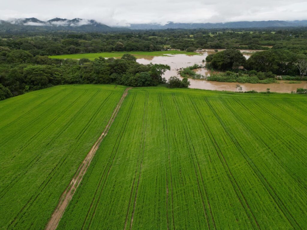 WhatsApp Image 2024 11 06 at 3.38.45 PM 2