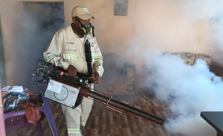 minsanes 3 770x470 1