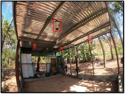 UTP usa inteligencia artificial para monitorear pollos de engorde en galeras 2 Galera prototipo 1