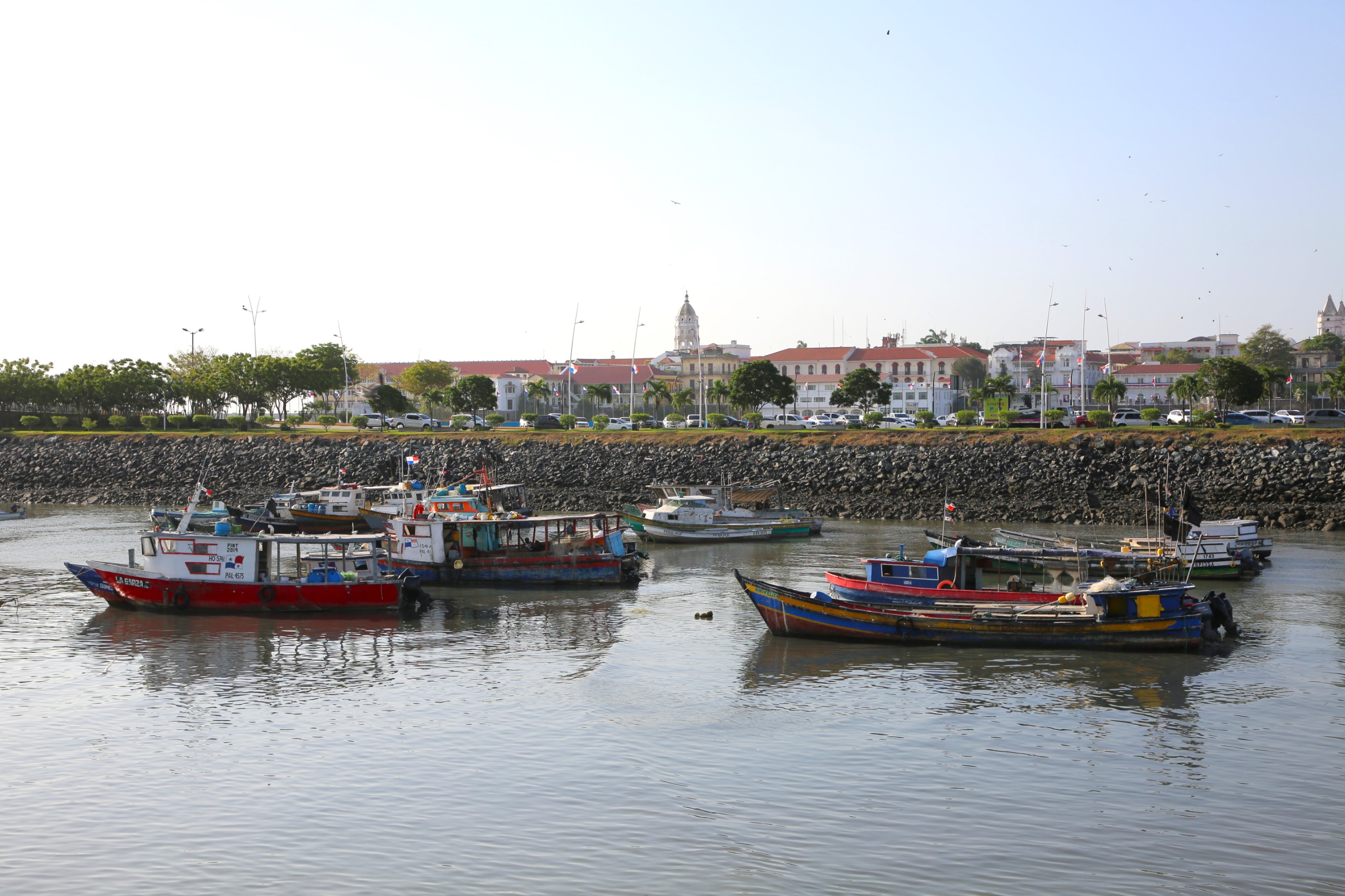 AMP ALERTA A EMBARCACIONES 2