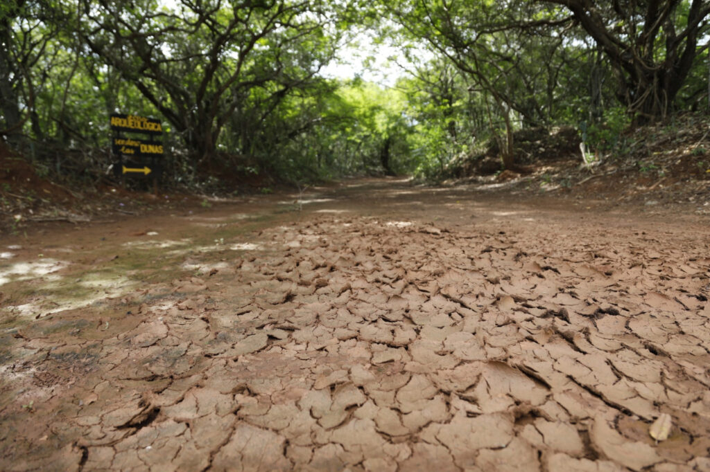 WhatsApp Image 2025 06 16 at 3.55.22 PM