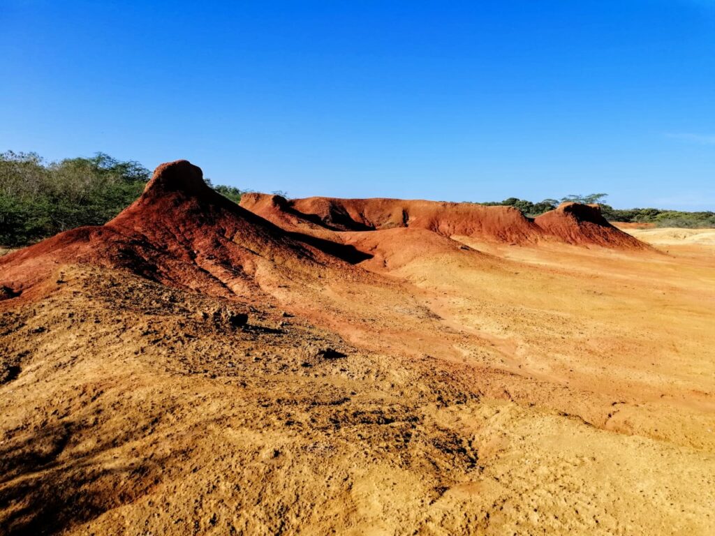 WhatsApp Image 2025 06 16 at 3.55.23 PM 1