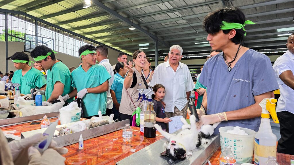 Pronto el Hospital de Mascotas será una realidad, afirma el presidente Mulino durante la X Jornada de Esterilizaciones, que se desarrolló en Juan Díaz 2 WhatsApp Image 2025 06 22 at 3.09.20 PM