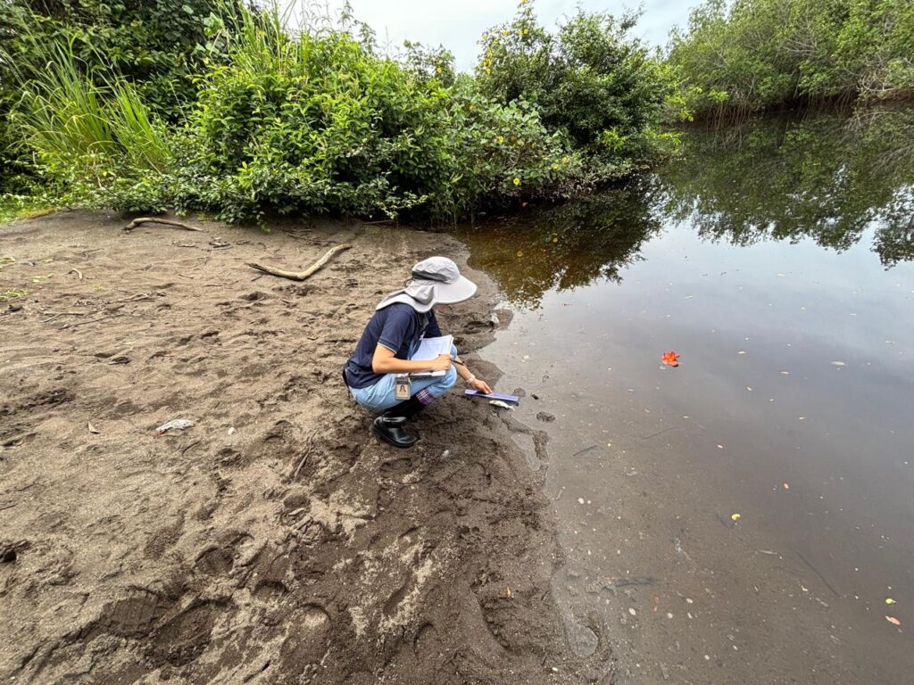 MiAMBIENTE interpone denuncia penal ante el Ministerio Público por contaminación y muerte de peces en estero de Alanje 2 WhatsApp Image 2025 06 22 at 7.42.21 PM