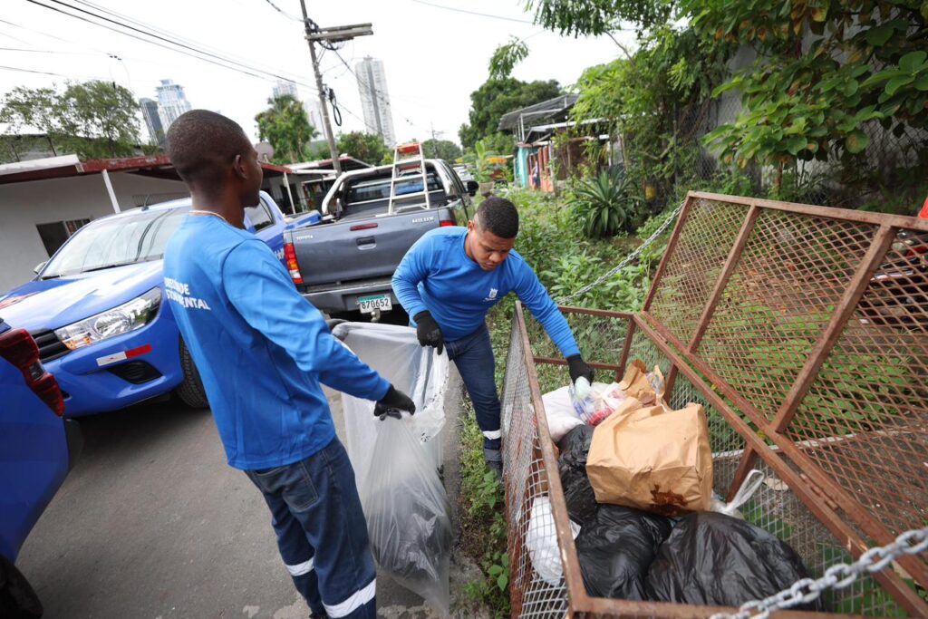 WhatsApp Image 2025 06 25 at 12.52.10 PM 1