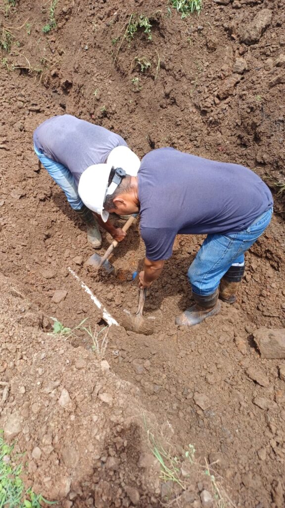 WhatsApp Image 2025 06 30 at 5.02.26 PM 1