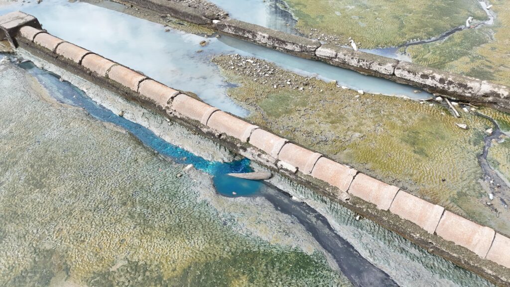 WhatsApp Image 2025 07 21 at 11.06.32 AM