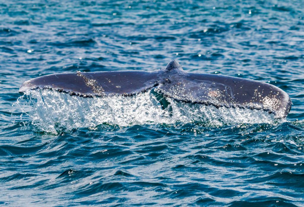 WhatsApp Image 2025 07 22 at 11.24.01 AM 1