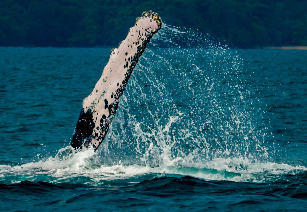 WhatsApp Image 2025 07 22 at 11.24.01 AM