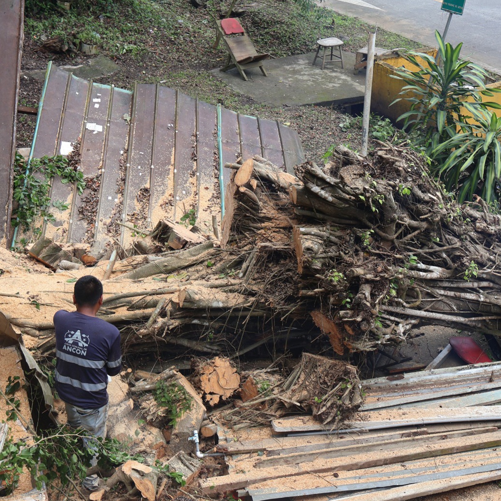 Junta Comunal de Ancón realiza operativo de corte y poda de árboles en Paraíso 1 WhatsApp Image 2025 07 22 at 3.29.46 PM