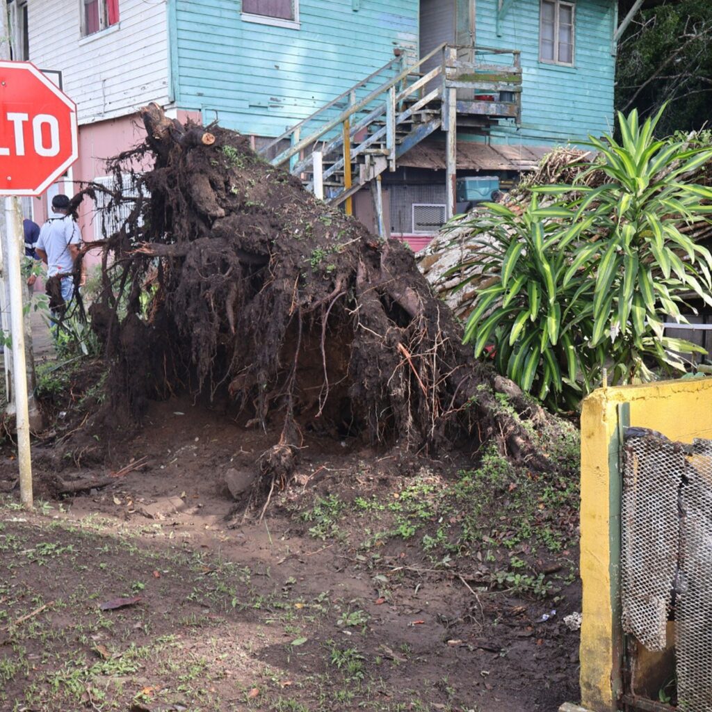 Junta Comunal de Ancón realiza operativo de corte y poda de árboles en Paraíso 2 WhatsApp Image 2025 07 22 at 3.29.47 PM