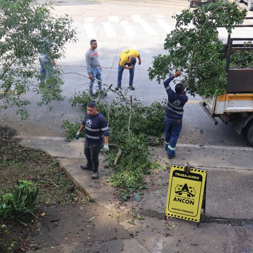 Junta Comunal de Ancón realiza operativo de corte y poda de árboles en Paraíso 3 WhatsApp Image 2025 07 22 at 3.29.48 PM