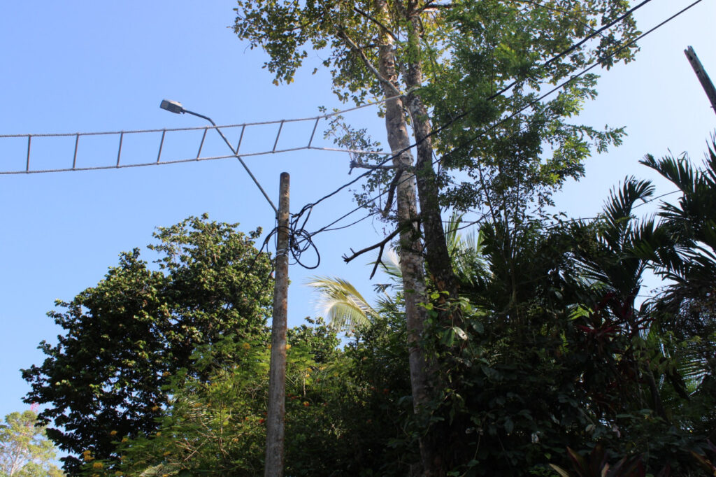 Ministerio de Ambiente trabaja en guía para la implementación de pasos de fauna 3 WhatsApp Image 2025 07 28 at 4.20.02 PM