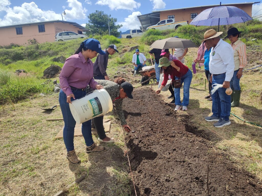 WhatsApp Image 2025 07 29 at 1.43.52 PM 1