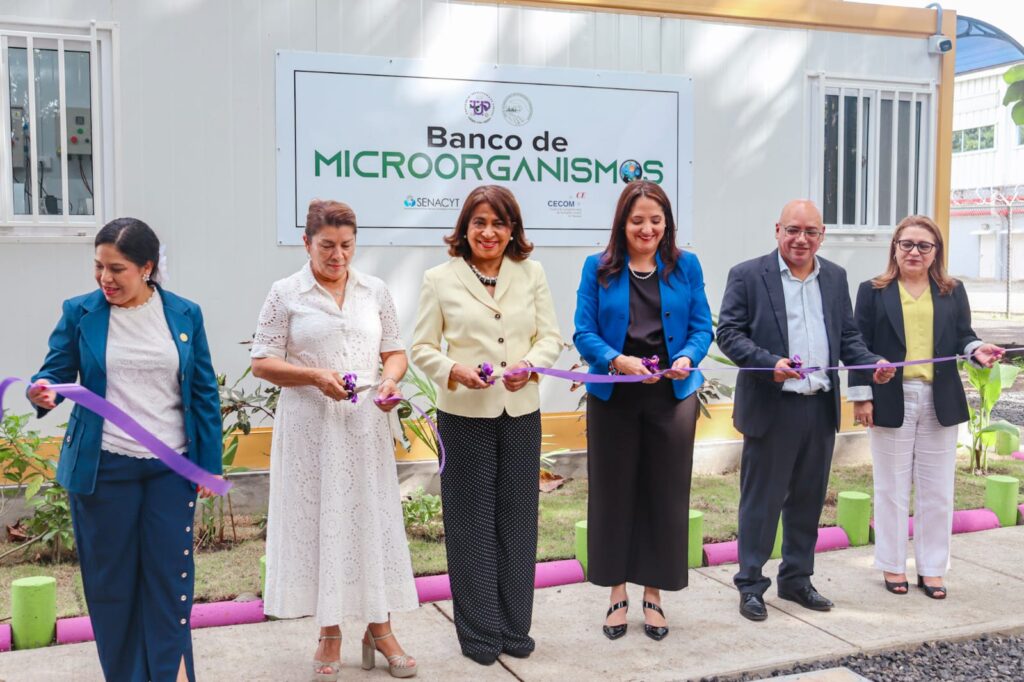 WhatsApp Image 2025 08 04 at 4.53.58 PM