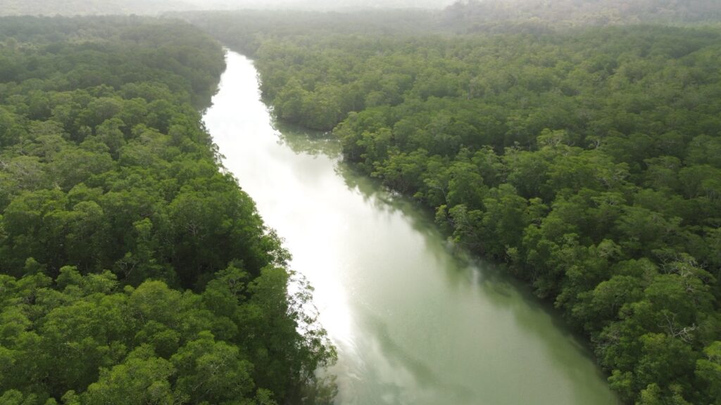 WhatsApp Image 2025 08 21 at 7.23.04 PM 1