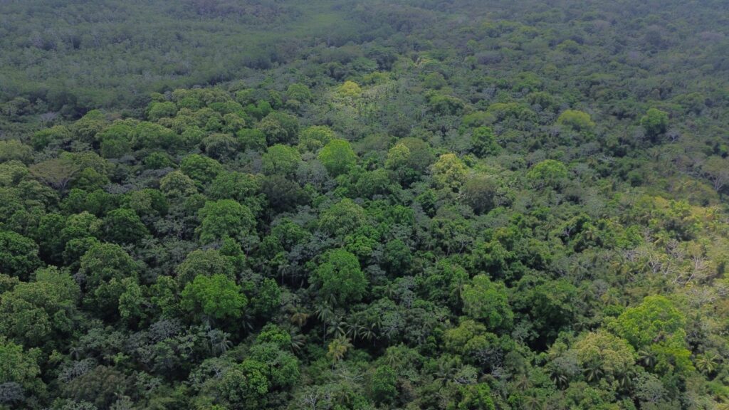 WhatsApp Image 2025 08 21 at 7.23.04 PM