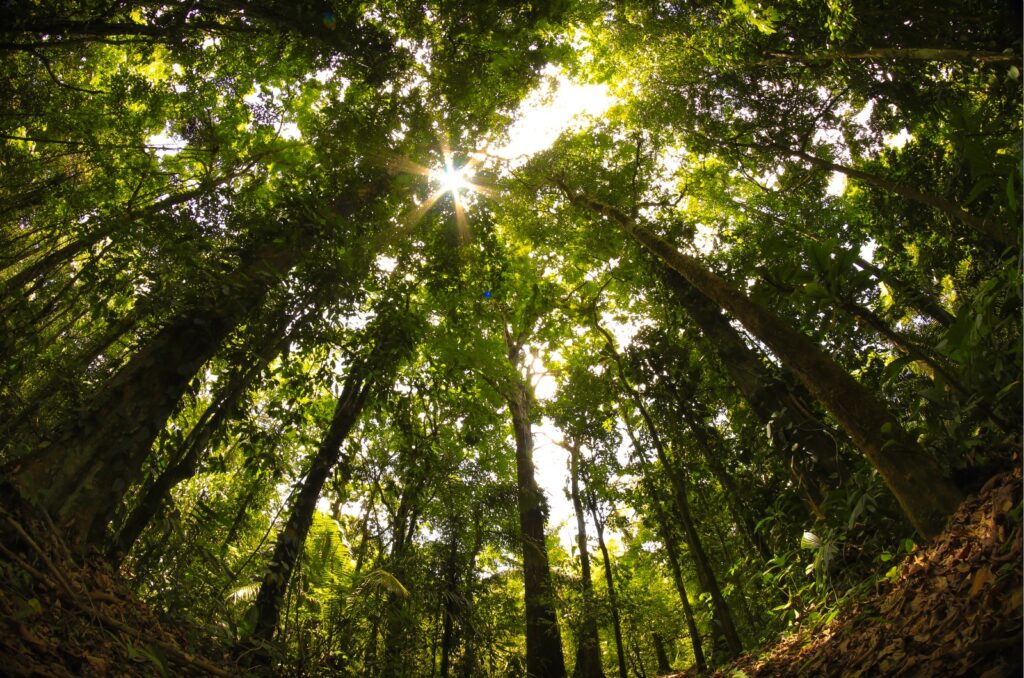 WhatsApp Image 2025 08 21 at 7.23.04 PM 2