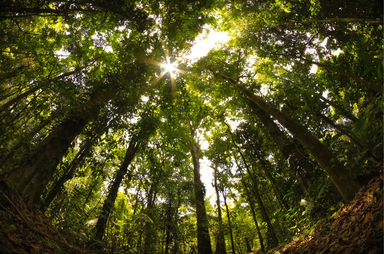 WhatsApp Image 2025 08 21 at 7.23.04 PM 2