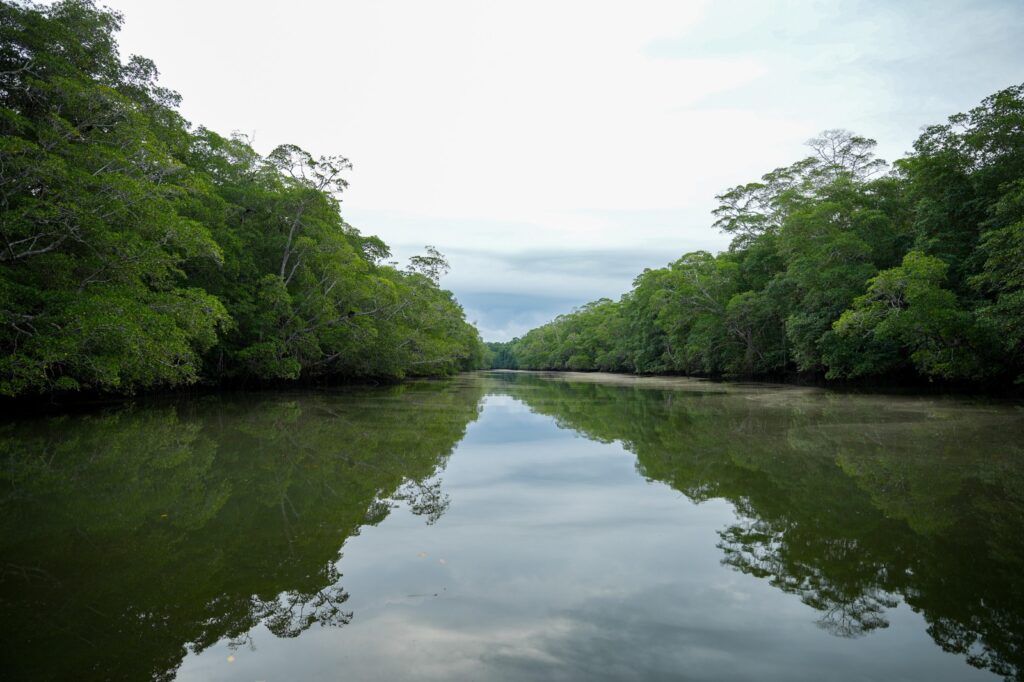 WhatsApp Image 2025 08 21 at 7.23.04 PM 3