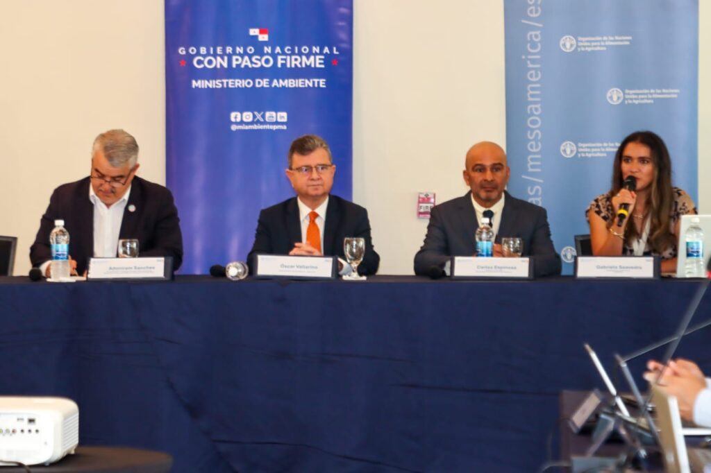 WhatsApp Image 2025 09 01 at 2.52.42 PM 1