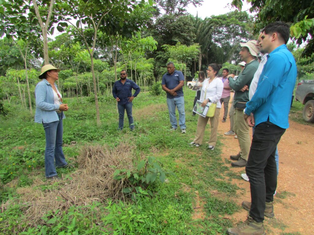 Representantes de la Comisión Forestal para América Latina y el Caribe visitan modelo de reforestación sostenible en Darién 5 WhatsApp Image 2025 09 06 at 8.54.54 AM 1 1
