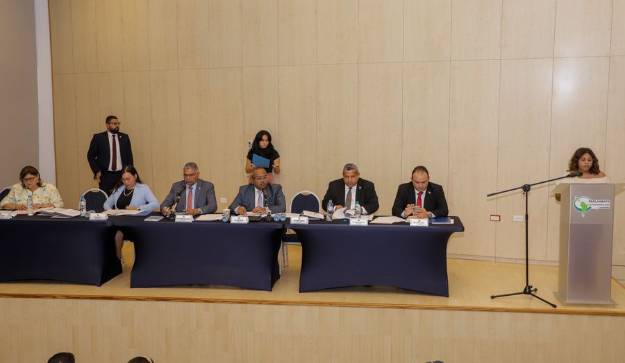 Productores de arroz exponen crisis ante la Asamblea y exigen aplicación urgente de la Ley 17 de 2018 2 WhatsApp Image 2025 09 09 at 6.39.50 PM