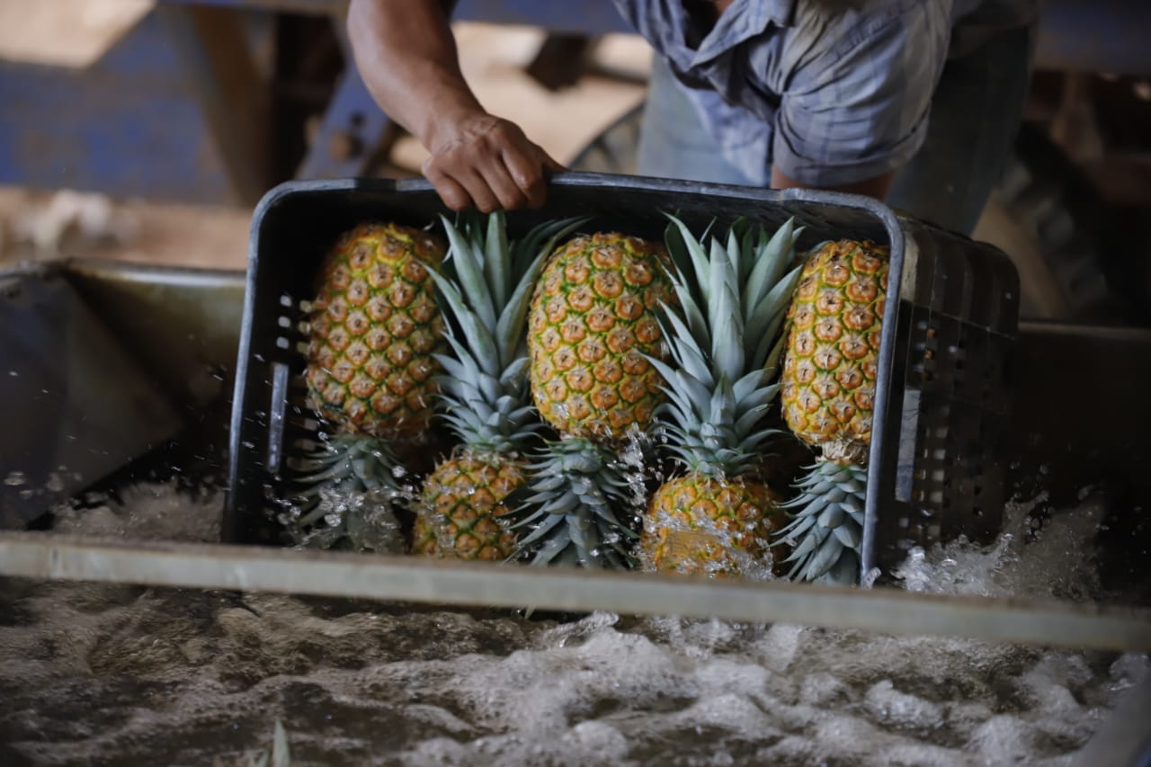 WhatsApp Image 2025 11 06 at 8.33.00 PM