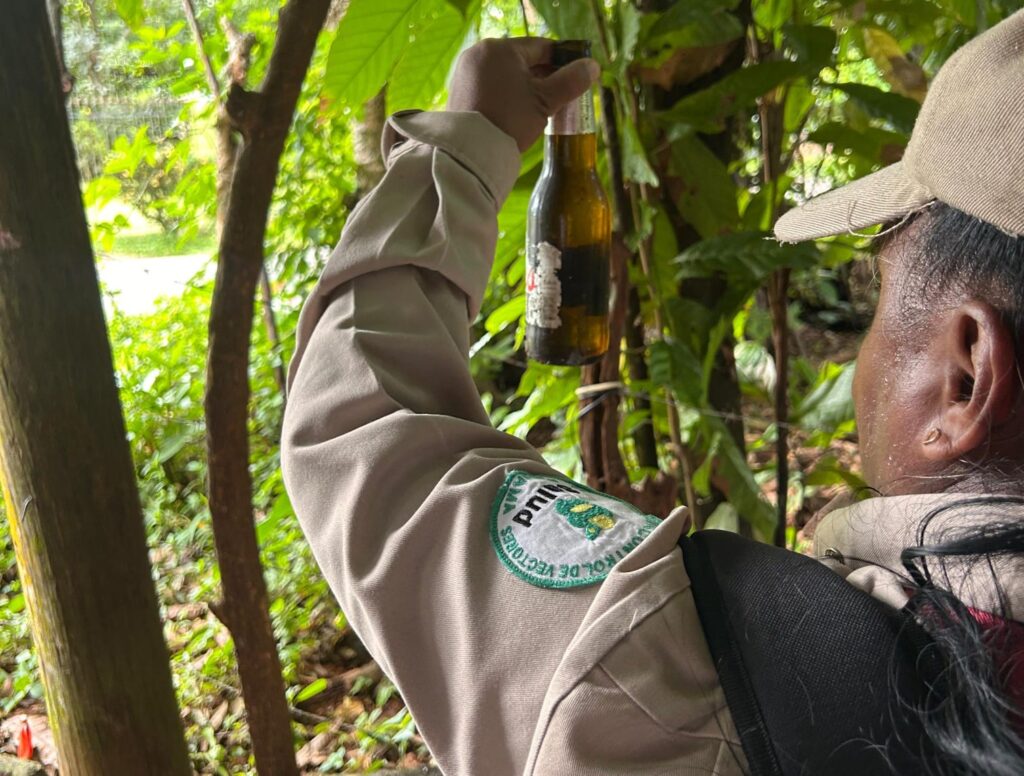 Imagen de WhatsApp 2025 12 11 a las 08.55.59 21678816