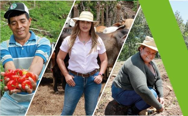 WhatsApp Image 2026 01 26 at 11.39.06 PM