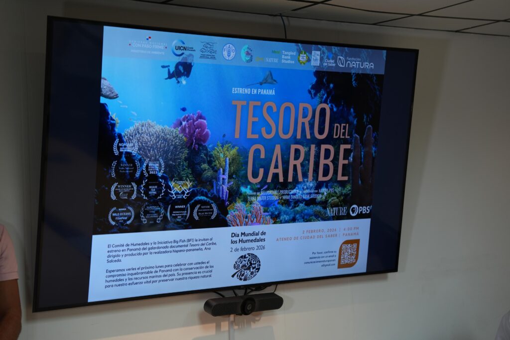 Documental “Tesoro del Caribe” celebrará el Día Mundial de los Humedales 2 WhatsApp Image 2026 01 27 at 2.18.28 PM