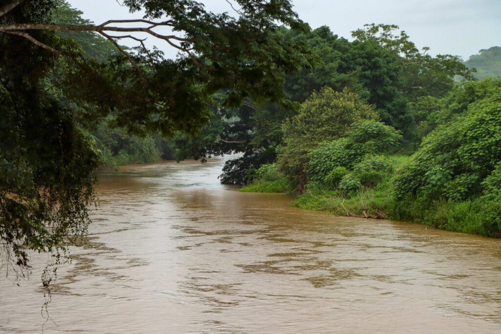 WhatsApp Image 2026 02 24 at 3.39.28 PM