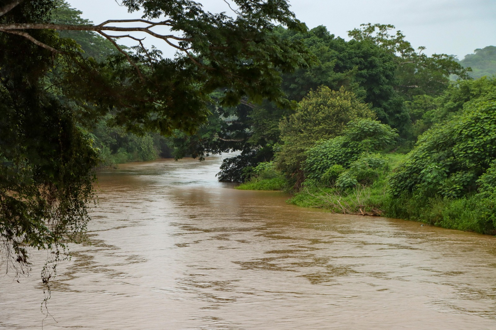 WhatsApp Image 2026 02 24 at 3.39.28 PM