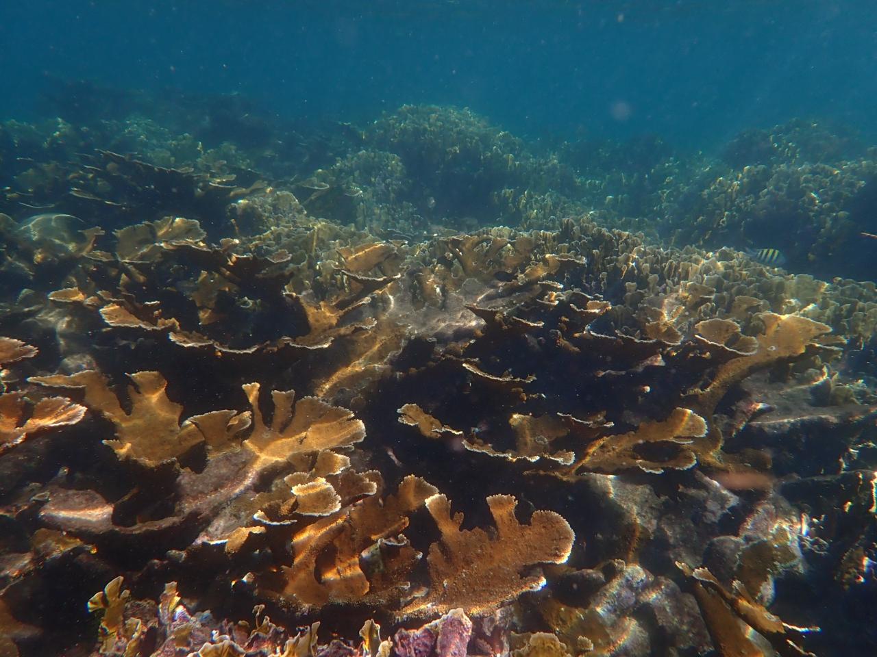 WhatsApp Image 2026 02 28 at 4.45.45 PM