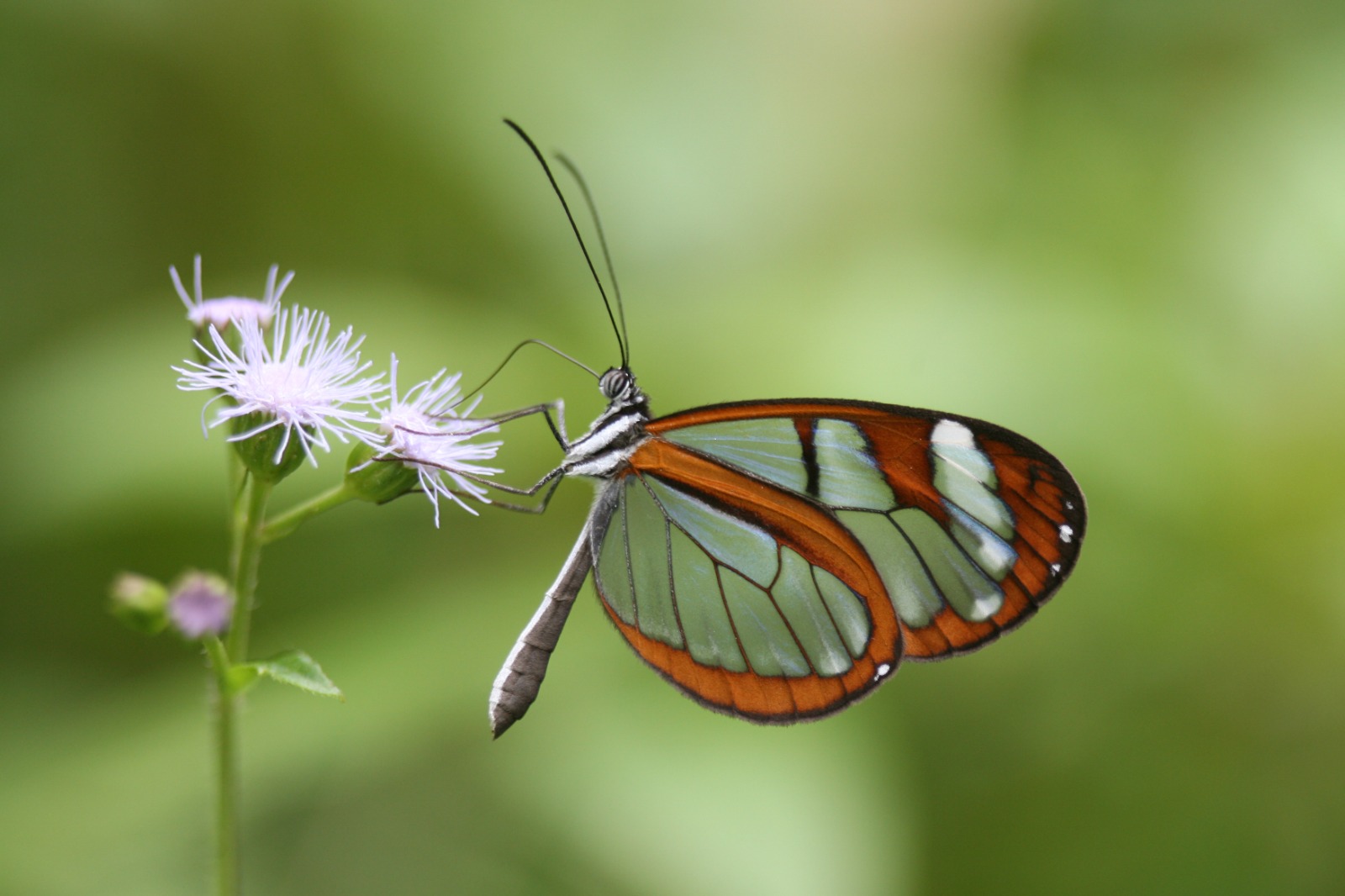 WhatsApp Image 2026 03 02 at 3.54.50 PM