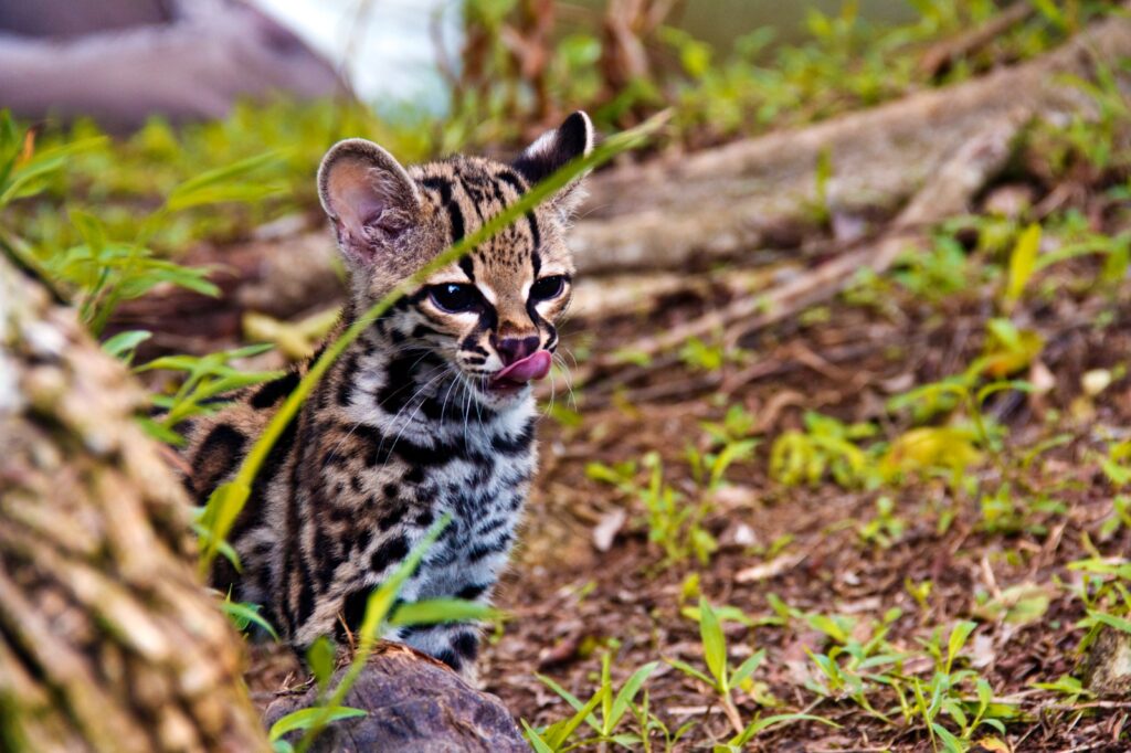 WhatsApp Image 2026 03 07 at 8.41.41 AM