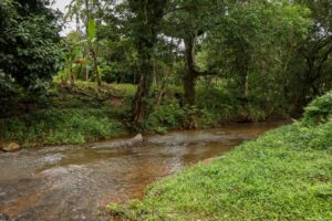 MiAMBIENTE aprobó 366 permisos temporales para camiones cisterna durante operativo de Carnaval 2026