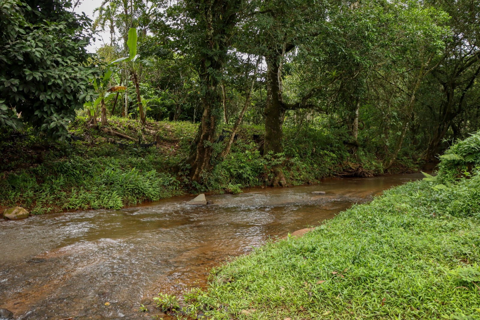 WhatsApp Image 2026 03 08 at 10.45.38 AM