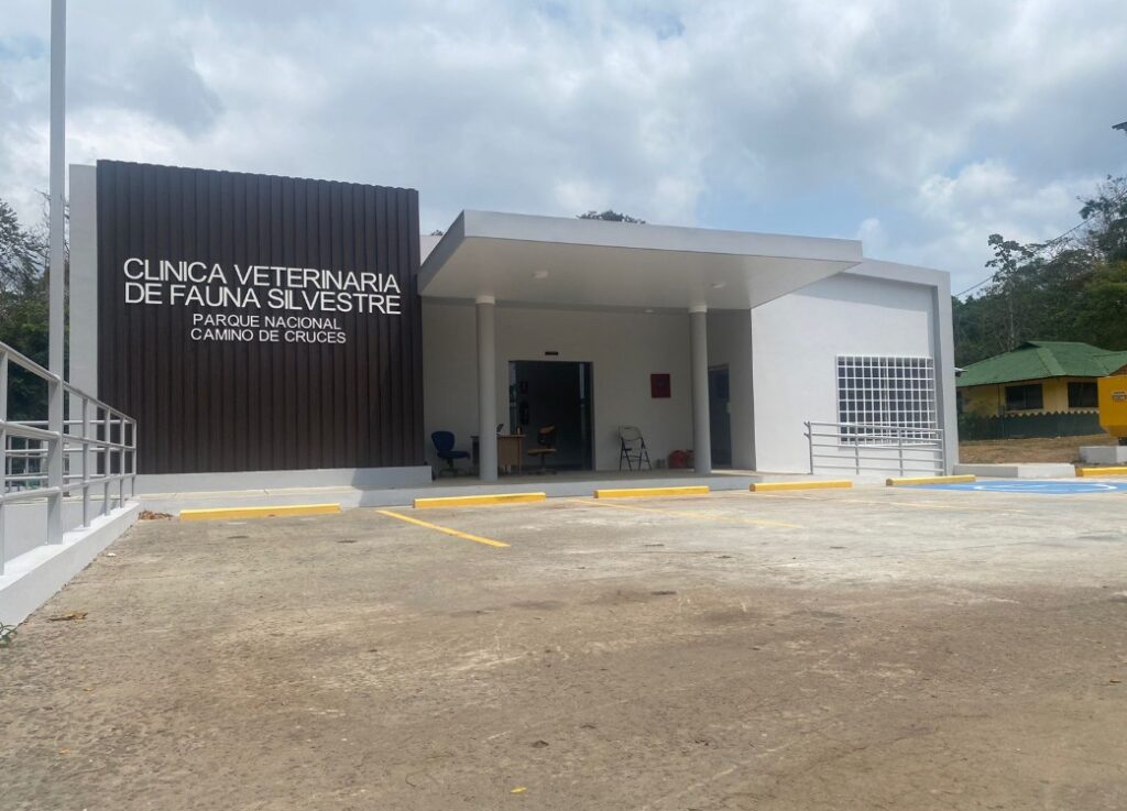 WhatsApp Image 2026 03 10 at 6.35.35 PM