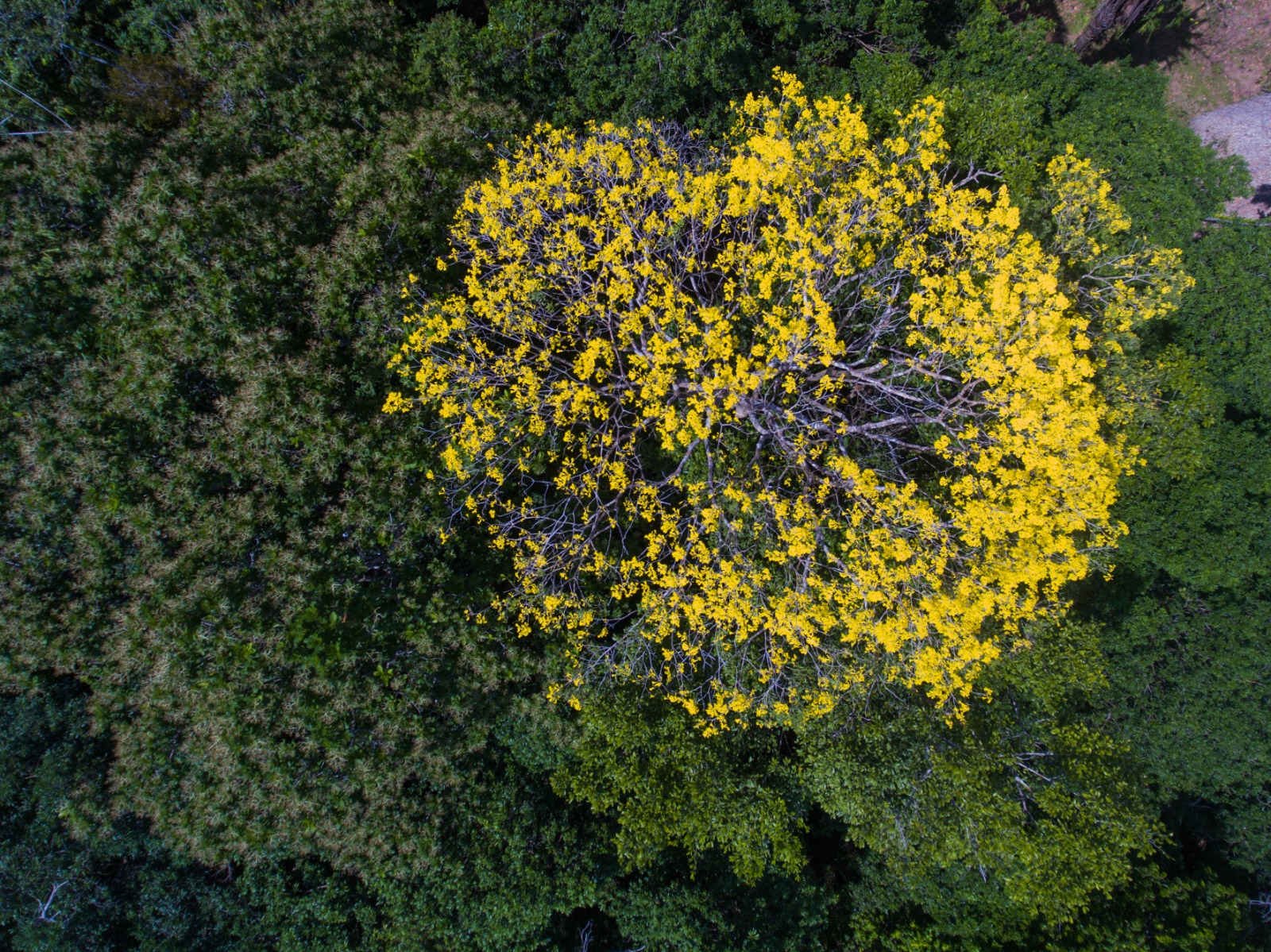 WhatsApp Image 2026 03 21 at 5.34.30 PM 1