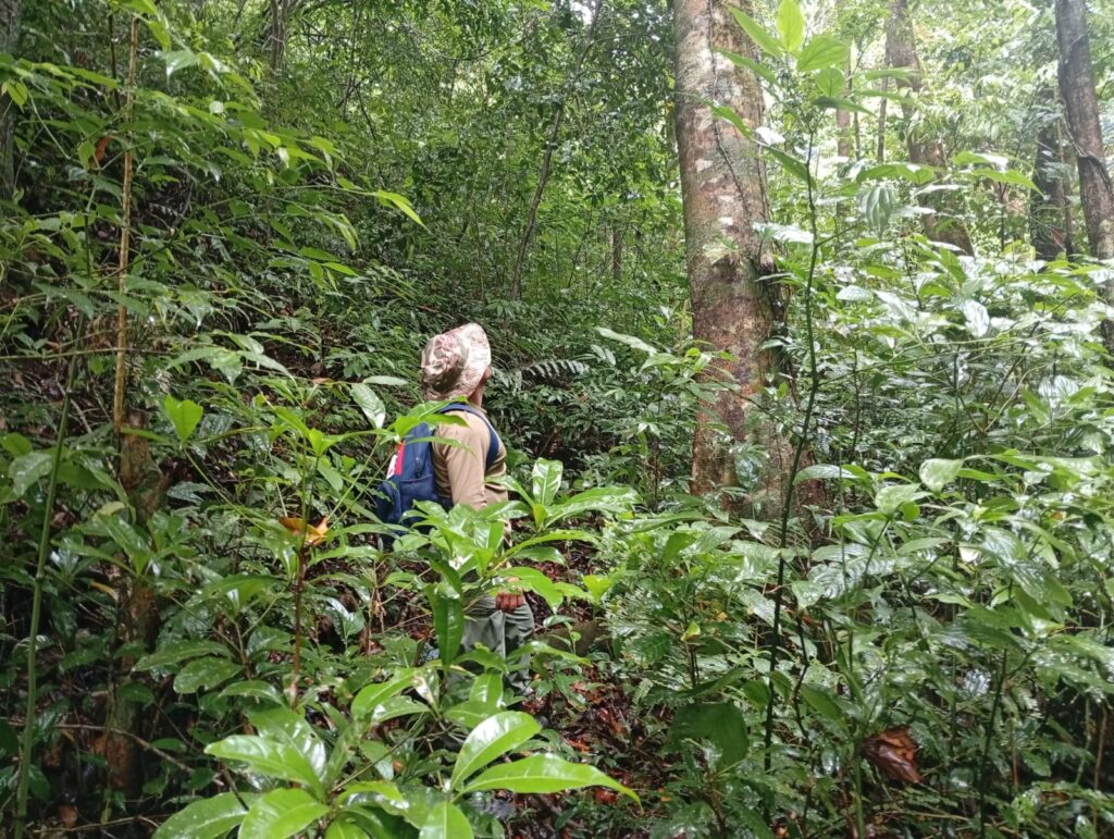 MiAMBIENTE, Bomberos y Aeronaval logran extinguir incendio forestal en la Reserva Forestal La Yeguada 2 WhatsApp Image 2026 03 21 at 5.34.30 PM