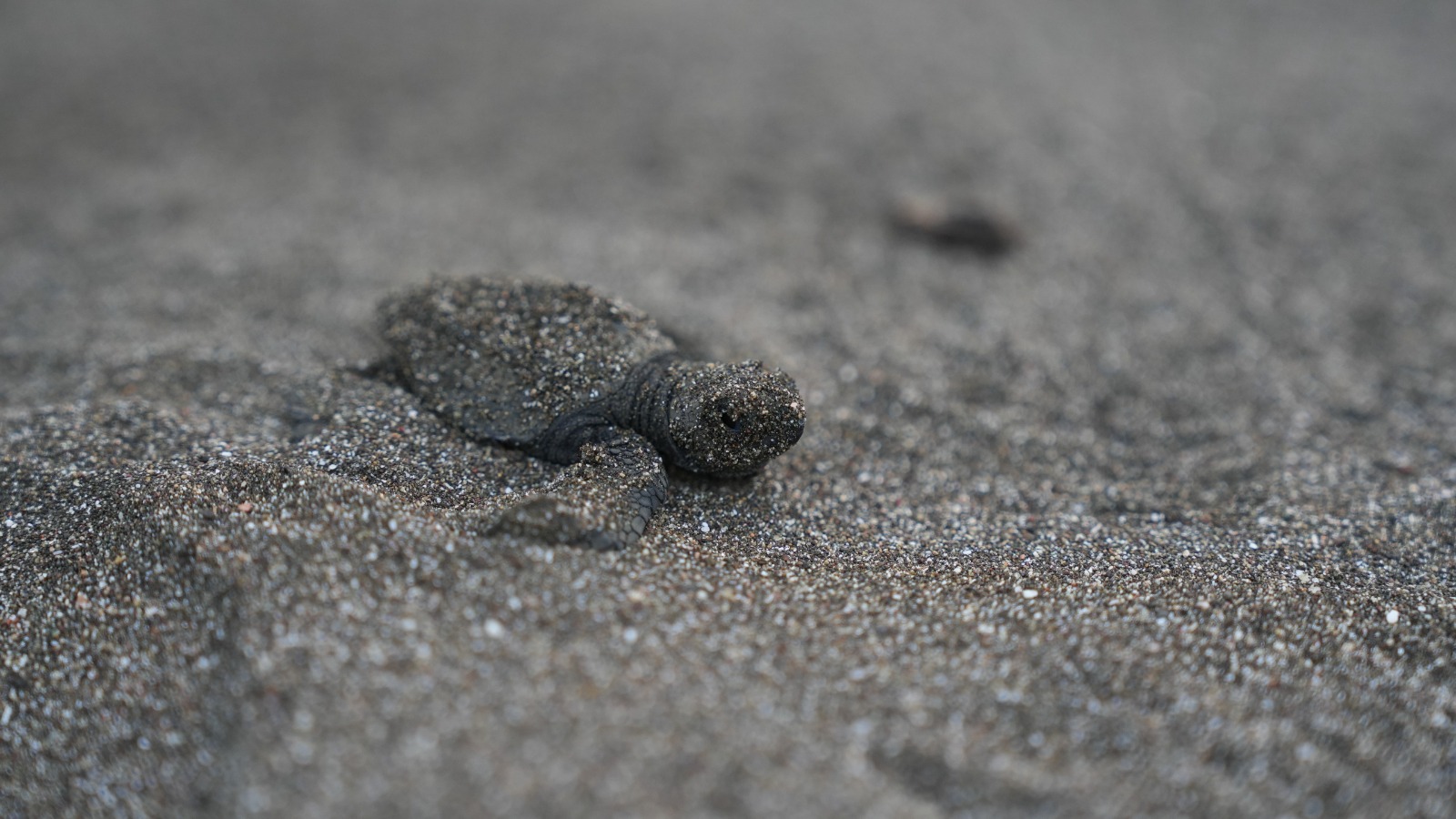 WhatsApp Image 2026 04 01 at 1.25.48 PM 1