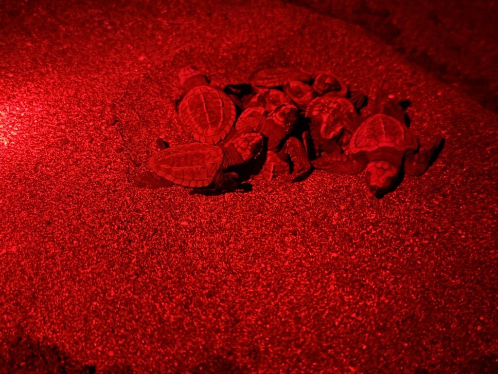 WhatsApp Image 2026 04 01 at 1.25.48 PM